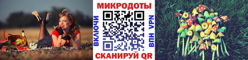 магазин  наркотиков  Бородино  Псилоцибиновые грибы GOLDEN TEACHER 