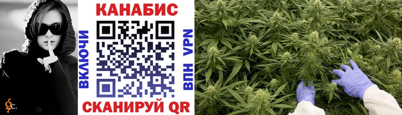 Бошки марихуана THC 21%  omg вход  Бородино 